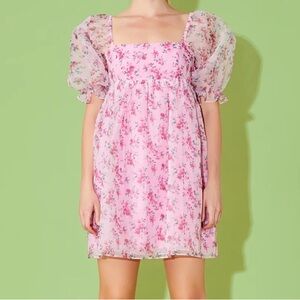 Endless Rose Organza Babydoll Dress